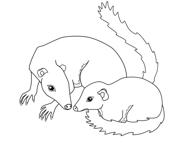 나무늘보는 자기의 고리를 가지고 선이다 아기와 포유동물 — 스톡 벡터