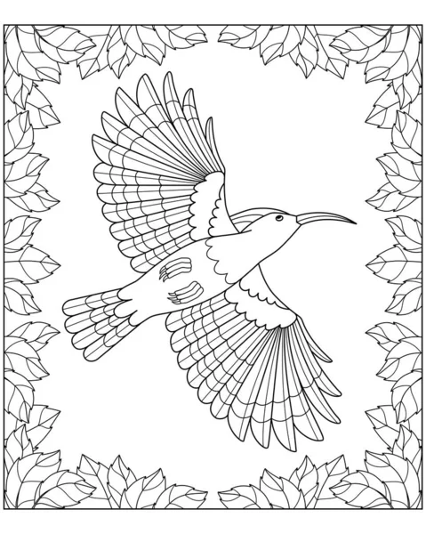 フープー 葉のフレーム内の飛行鳥 着色のためのベクトル線形画像 ぬいぐるみ ぬいぐるみ ベクターグラフィックス
