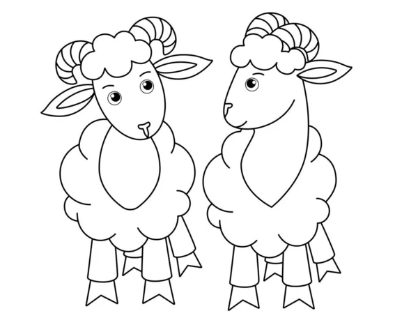 Dva Roztomilé Berany Vektorový Lineární Obrázek Pro Zbarvení Obrys Ovce — Stockový vektor