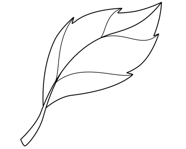 灌木或其他植物的叶子 简单的元素 矢量线性图像 用于着色 植物色素元件 — 图库矢量图片