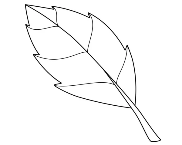 Növényi Levél Egyszerű Elem Vektor Lineáris Kép Színezés Vázlat Levél — Stock Vector