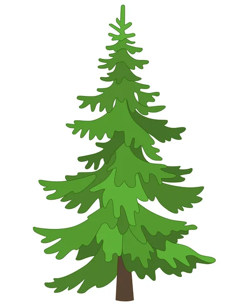 Высокая Ель Хвойное Вечнозеленое Дерево Векторное Полноцветное Изображение Рождественская Елка — стоковый вектор