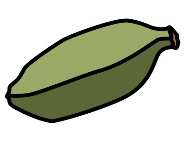 Çekirdekli kakule kapsülü, baharatlı - vektör tam renkli resim. Simge veya işaret için siluet pişirmek için kakule aromatik baharat.