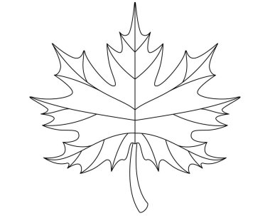 Akçaağaç yaprağı. bitki ögesi - boyama için vektör doğrusal resim. Özet geç. İşaret, logo veya boyama kitabı için akçaağaç yaprağı