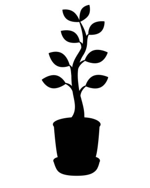 Çiçek saksısında saksı, ficus - stencil için vektör siluet resmi. Şablon için bir saksı siluetine yerleştir