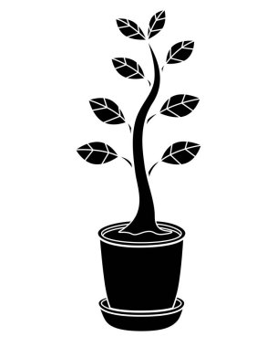 Çiçek saksısında saksı, incir ağacı logo, piktogram ya da şablon için vektör siluet görüntü. Şablon için saksıya bitki koy..