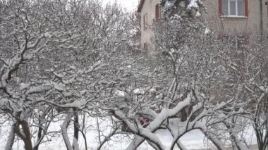 Kasabada kar. Kentsel bir çevrede, karla kaplı çalıların arkasında bir apartman manzaralı kışın manzarası..