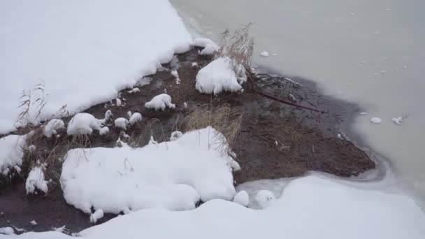 Fuente Agua Invierno Afluente Congelante Del Río Vista Cercana Escena — Vídeo de stock