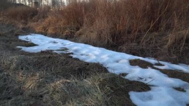 Kar, kışın sonunda çimen ve çalılarla kaplı bir hendekte erir. Gri-kahverengi bir gölgede kuru çimenler baharın başlangıcından önce zemini kaplar..