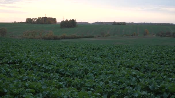 Scenic View Fields Farmland Autumn Season Hilly Panoramic Landscape Evening — Stockvideo
