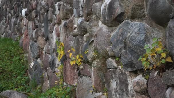 Castelo Medieval Arruína Antiga Muralha Pedra Uma Vista Perto Jovens — Vídeo de Stock