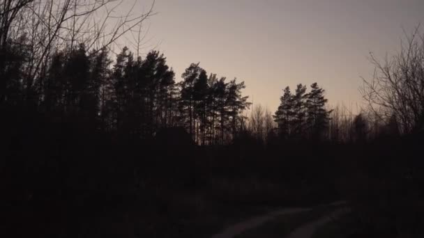 Movimiento Caminar Ambiente Arbolado Miedo Por Noche Cielo Después Puesta — Vídeos de Stock