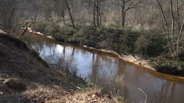 View Ravine River Valley Surrounded Naked Trees Spring Wild Nature — Stock Video