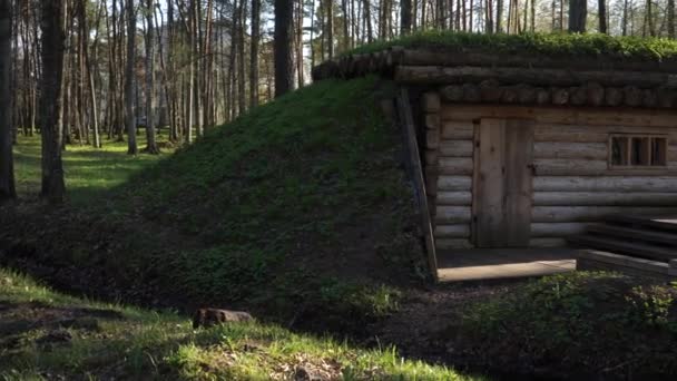 Site Des Batailles Première Guerre Mondiale Avec Bâtiment Rondins Reconstruit — Video