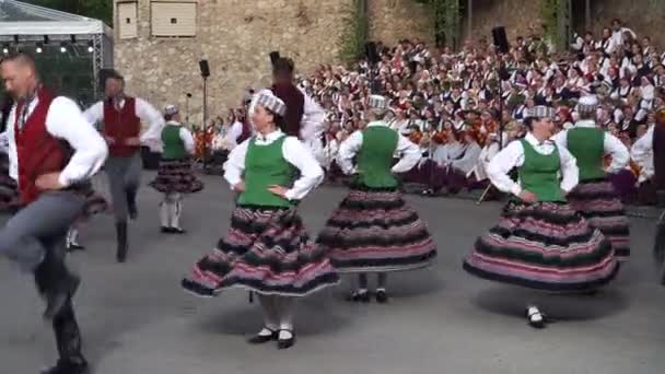 Dobele Latvia May 2023 Traditional Folk Dances Xxvii Nationwide Latvian — Stock Video