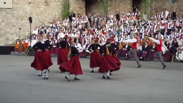Dobele Latvia May 2023 Traditional Folk Dance Culture Dancing Senior — Stock Video