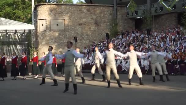 Dobele Letland Maj 2023 Glædelig Dans Energiske Unge Mænd Xxvii – Stock-video