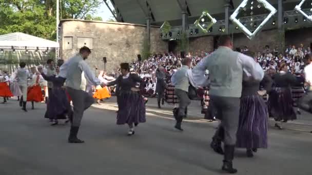 Dobele Lettország 2023 Május Néptánc Táncosok Előadása Xxvii Országos Lett — Stock videók