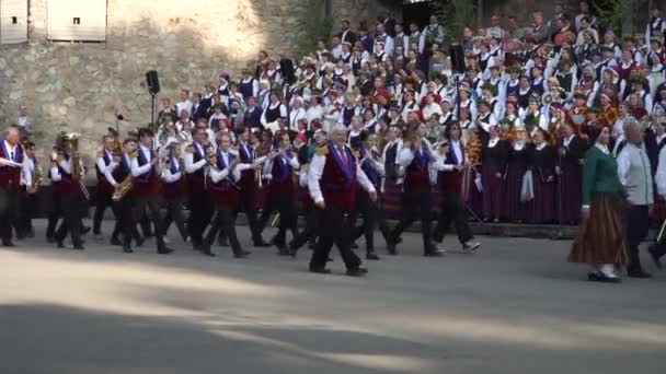 Добле Латвія Травня 2023 Марш Духового Оркестру Головою Гурту Xxvii — стокове відео