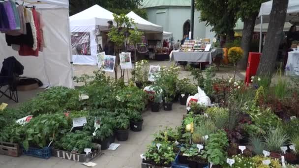 中小企業のストリートセールスは 市の祭典の一部として 町の広場で個々の生産者市場の立場にある庭の植物や自家製の商品 — ストック動画
