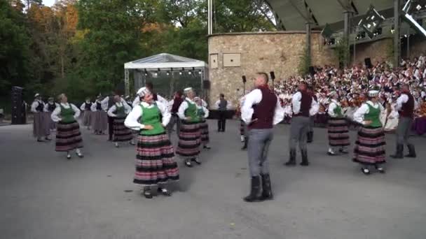 Belleza Las Danzas Folclóricas Parejas Bailarines Trajes Nacionales Durante Xxvii — Vídeos de Stock
