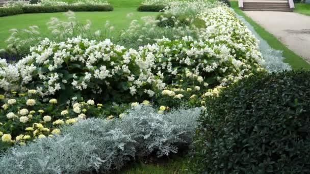 Şehir Ortamında Çiçek Açan Bitkilerle Peyzaj Tasarımı Kasabanın Yeşilliğinde Dekoratif — Stok video