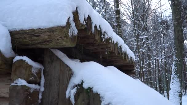 在冬季的特写视图中 一个被雪覆盖的排空建筑屋顶 是用木料建造的 历史上军队设防的细节是可见的 — 图库视频影像