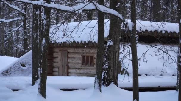 Vzorek Budovy Ukazuje Zvětšený Pohled Zasněžený Dřevěný Domek Lese Předvádějící — Stock video