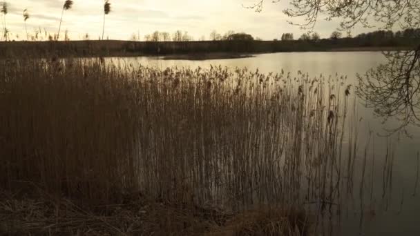 Abendlandschaft Bei Sonnenuntergang See Herbst Schöne Aussicht Vom Mit Buchengras — Stockvideo