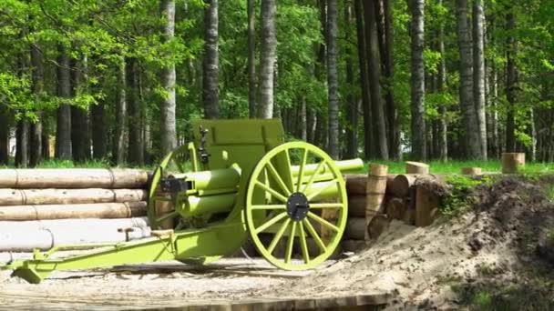 Вид Фортификационные Сооружения Первой Мировой Войны Малокалиберной Пушкой Естественной Лесной — стоковое видео