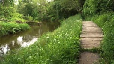 Yazın nehir boyunca bir yürüyüş. Ormanlık bir alanda nehir kıyısında yürüyüş yolu. Video, doğanın güzelliğini gözler önüne sererek nehir kenarının hareketli manzarasını yakalıyor..