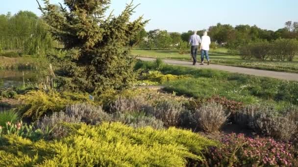Widok Ogród Parku Ogrodniczym Wieloma Gatunkami Roślin Parą Dorosłych Mężczyzną — Wideo stockowe