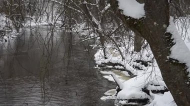 Karlı havalarda kış mevsiminde nehir akıntısına bakın. Asılan ağaç dallarının manzarası, kışın küçük vahşi nehrin su akışını sunar..