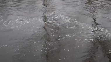Vahşi nehir akıntısı soyut sahnesi. Akan su sanatı dinamik nehir sahnelerini doğal elementler, yansımalar, dokular ve çeşitli ruh hali paletleri ile yakalar..