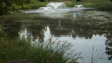 Parktaki sakin bir gölette üç çeşme su sıçratır. Çevreleyen yemyeşil ve sudaki yansımalar dingin atmosfere katıyor..