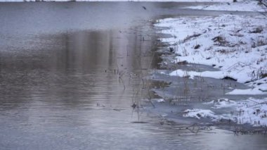 Bir kış sahnesinde, kısmen donmuş çimenli kıyı şeridi karla kaplı bir göl üzerinde hafif su dalgalanmaları yer alır. Buzlu kıyı ile durgun su arasındaki zıtlık kış atmosferini oluşturur..