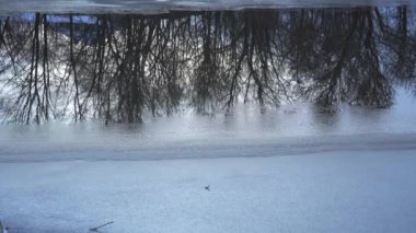 Nehir yüzeyindeki çıplak ağaçların huzur dolu yansıması, bir kış akşamında yavaş yavaş donuyor. Sakin sahne mevsimlerin geçişini vurguluyor.
