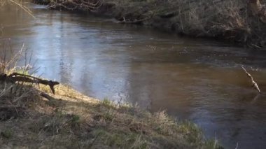 Sakin bir nehir, çıplak dalları ve nehir kıyısındaki seyrek bitki örtüsüyle güneşli bir yabanda yavaşça akar. Bu, ilkbaharın başlarındaki sakin ve huzurlu atmosferi yansıtır..
