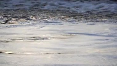 Yumuşak dalgalar ve parlak yansıtıcı dokuları ile köpüklü su yüzeyini gösteren dinamik bir panoramik yakalama, çağlayan bir şelale yakınında oluşmuş, doğal güç yayar (hızlı akan su sesleri ile))