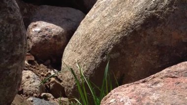 Panoramik manzaralı geniş bir kaya yığını. Engebeli yüzey, aralarında büyüyen çimen parçalarıyla noktalanır ve doğal bir manzara yaratır..