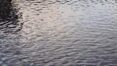 Narin dalgalar ve dinamik ışık yansımaları tarafından canlandırılan parıldayan bir su yüzeyi. Bu büyüleyici sahne doğadaki su akışkanlığının güzelliğini gözler önüne seriyor..