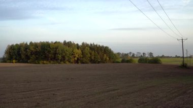 Yoğun bir sonbahar ormanıyla çevrili, yumuşak bir gökyüzünün altında geniş bir tarla uzanır. Arazi boyunca uzanan uzun elektrik hatları, kırsal alanları altyapıya bağlıyor..