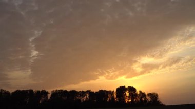 Büyüleyici bir günbatımı sahnesi. Altın bir gökyüzü kısmen bulutlarla kaplı. Güneş ışınları ufku aydınlatıyor, aşağıdaki siluetli ağaçların üzerine sıcak bir parıltı saçıyor..
