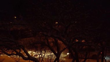 Bir caddede manevra yapan bir arabanın olduğu bir kış şehri manzarası. Karla kaplı ağaç dalları vasıtasıyla kentsel aydınlatmanın loş ışığı altında..