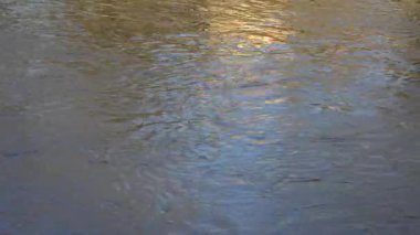 Soyut su sahnesinde kıvrımlı bir nehir akıntısı görülüyor, yüzeyi güneş ışığı altında parıldıyor. Hareket ve ışığın etkileşimi akan suyun enerjisini vurgular..