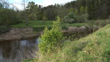 Yavaş akan nehir, yemyeşil alanı yansıtan yemyeşil bir nehir boyunca esiyor. Durgun su, canlı bir yeşilliğin yanından süzülür. Nazik bir yürüyüş hareketi doğal sahneyi yakalar..