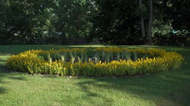 Altın rengi bol ve canlı süsler, güneşli bir parktaki, yapraklı ağaçlar ve bereketli bir manzaradaki yemyeşil otlar tarafından çerçevelenmiş dairesel bir çiçek yatağını doldurur..