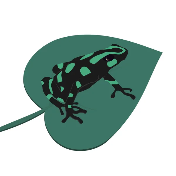 Der Grün Schwarze Pfeilgiftfrosch Dendrobates Auratus Sitzt Auf Einer Blattvektorillustration — Stockvektor
