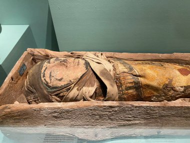 Stockholm, İsveç - 11 Haziran 2023: Medelhavsmuseet 'te Mısır mumyaları ve lahit. Sahte bebek mumyası. Maske ve kefen otantik ama içinde yetişkin bir erkeğin bacağı var.