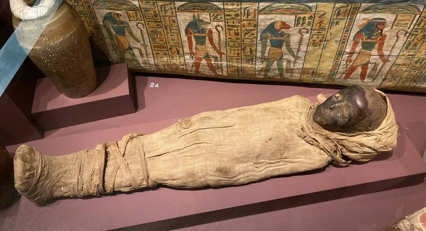 Stockholm Sweden June 2023 Egyptian Mummies Sarcophagus Medelhavsmuseet Mummified Boy — Stock Photo, Image